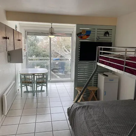 Cosy Au Coeur Du Centre Port D'agde, A 2 Minutes De Tout, Ideal Pour Sans Voiture ! - Fr-1-723-41 Apartamento Agde